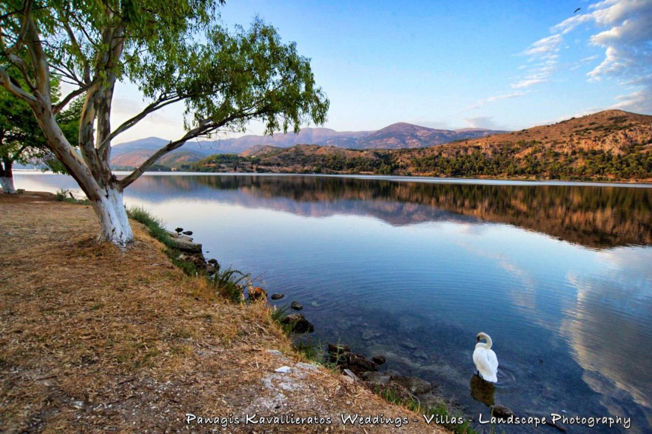 Aigli Elegant Sea View Apartment In Argostoli Dış mekan fotoğraf
